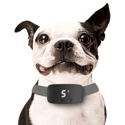 Anti-Bark Collar | Waterproof & Rechargeable Electric Dog Collar 2
