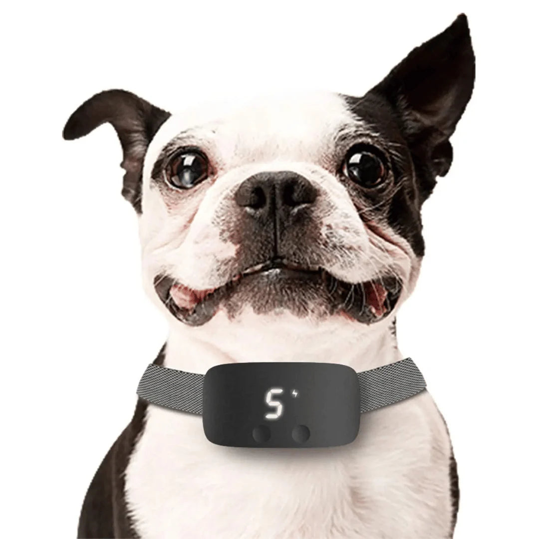 No-Shock Vibration Dog Collar & Remote | No Prongs, Humane Training Tailzy No-Shock Vibration Dog Collar & Remote | No Prongs, Humane Training Tailzy