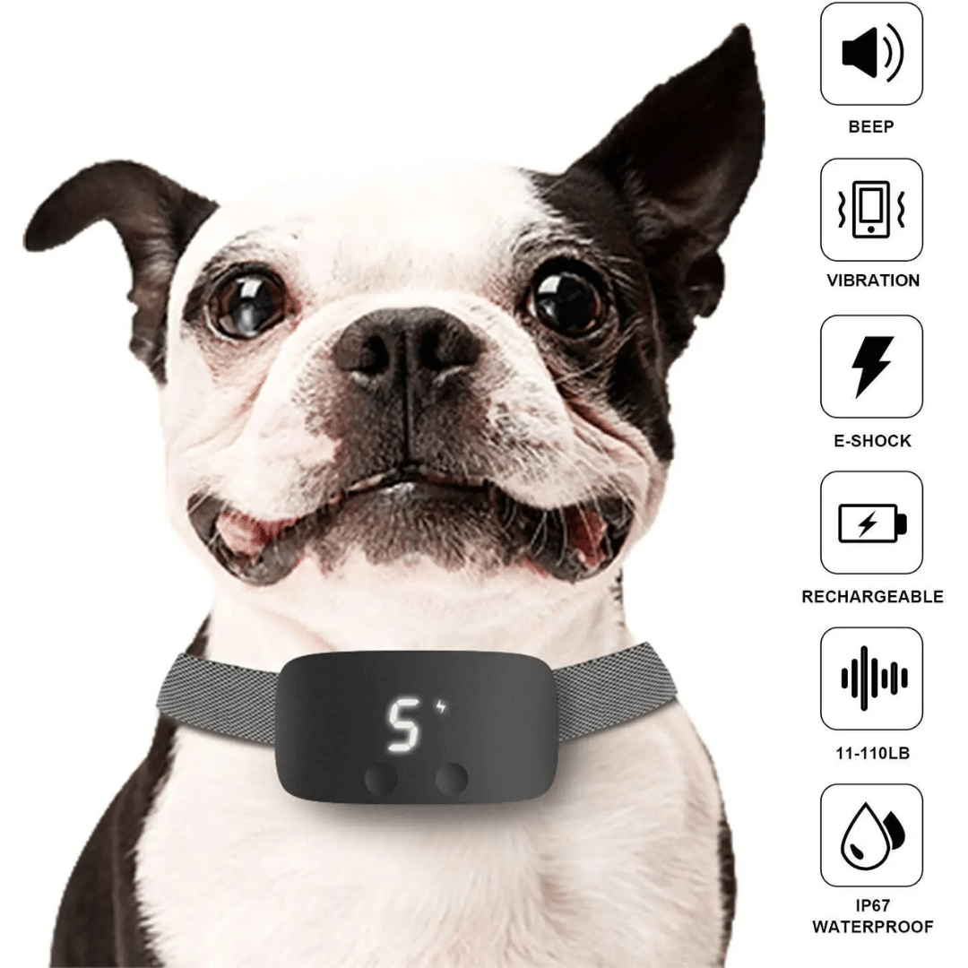 Anti-Bark Collar | Waterproof & Rechargeable Electric Dog Collar 4
