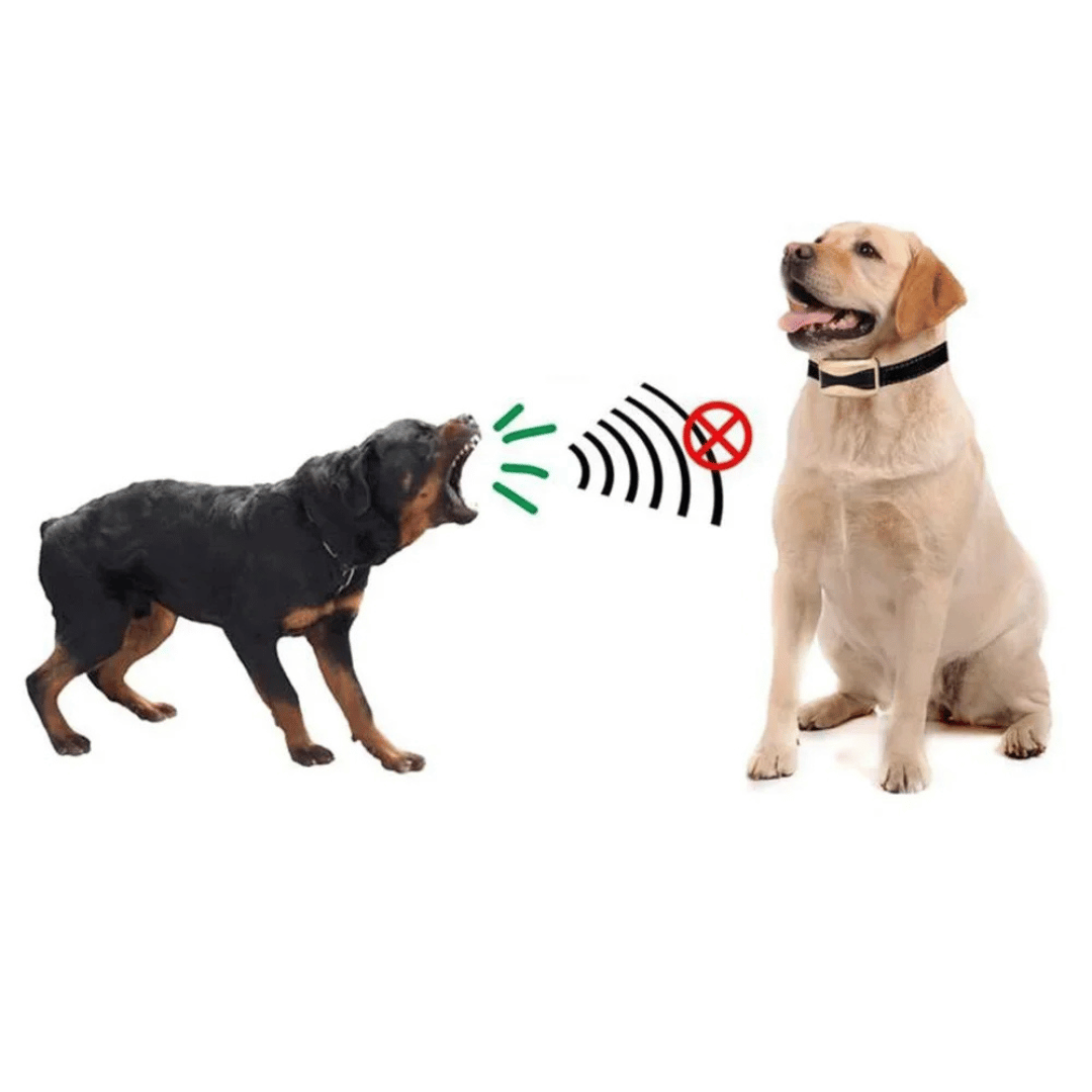 Anti-Bark E-Collar for Dog Training 7