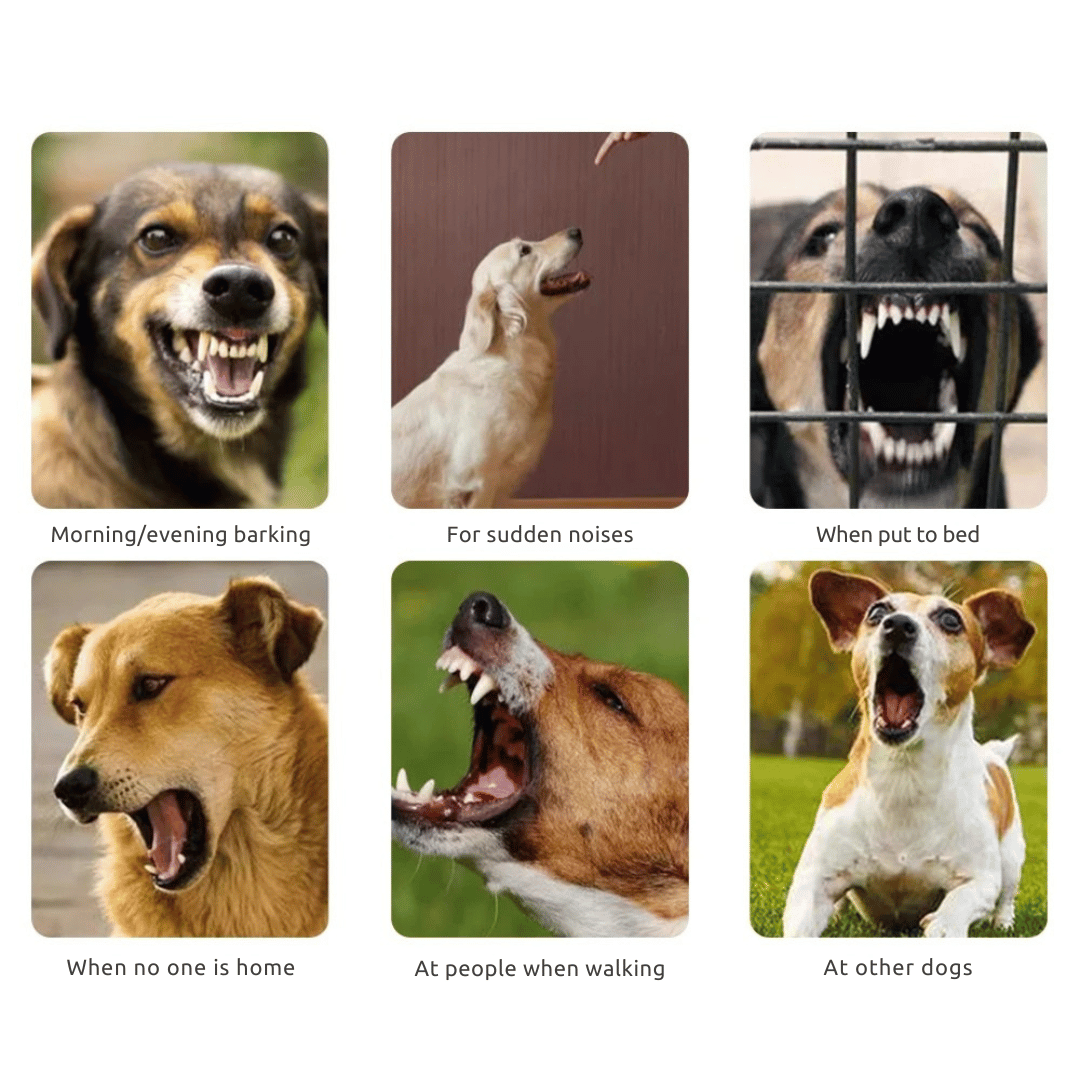 Automatic Anti-Bark Dog Training Collar with Humane Static Shock & Sound 6