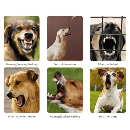 Automatic Anti-Bark Dog Training Collar with Humane Static Shock & Sound 6