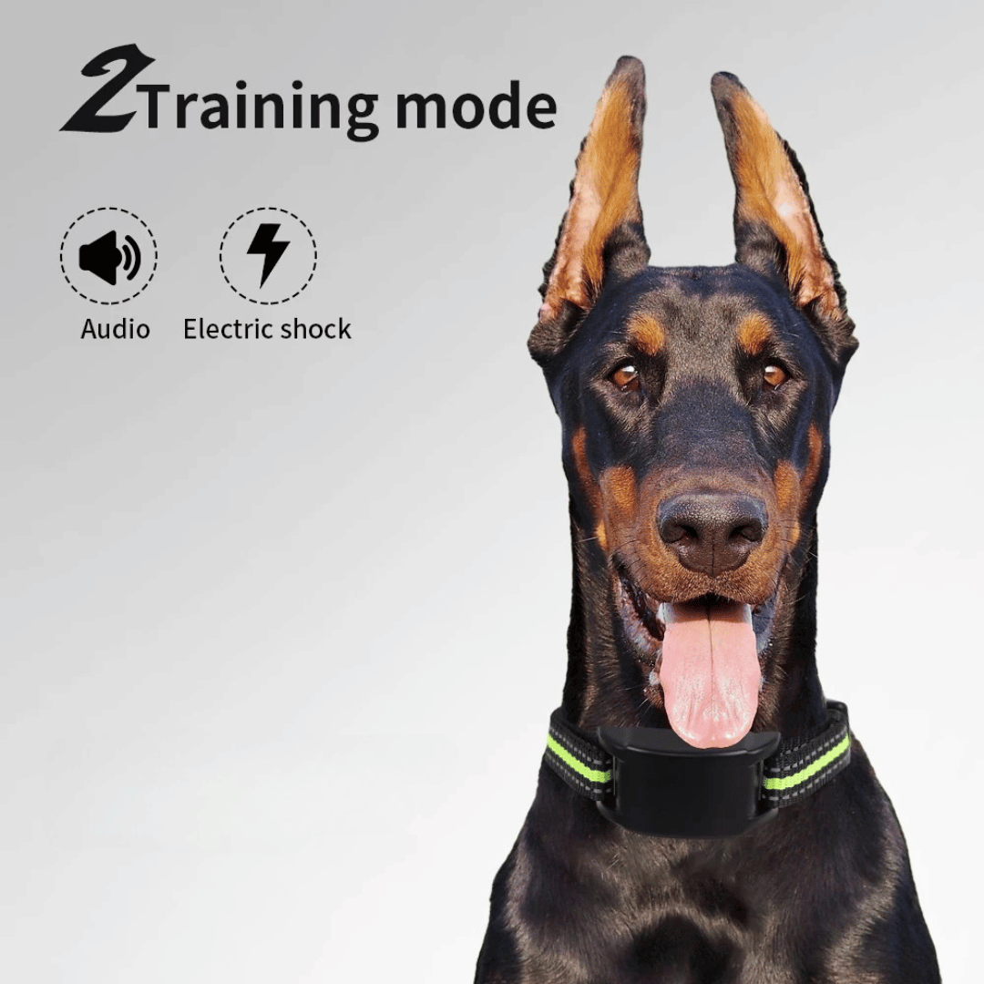Automatic Anti-Bark Dog Training Collar with Humane Static Shock & Sound 8