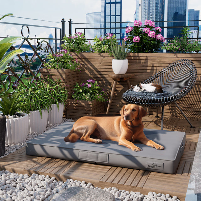 Bite Proof High-Density XL Dog Bed for Large Dogs 2