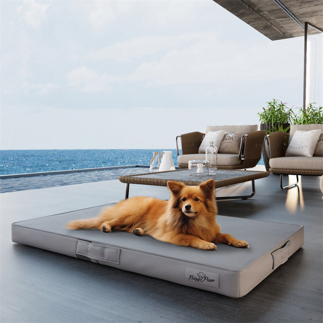 Bite Proof High-Density XL Dog Bed for Large Dogs 6