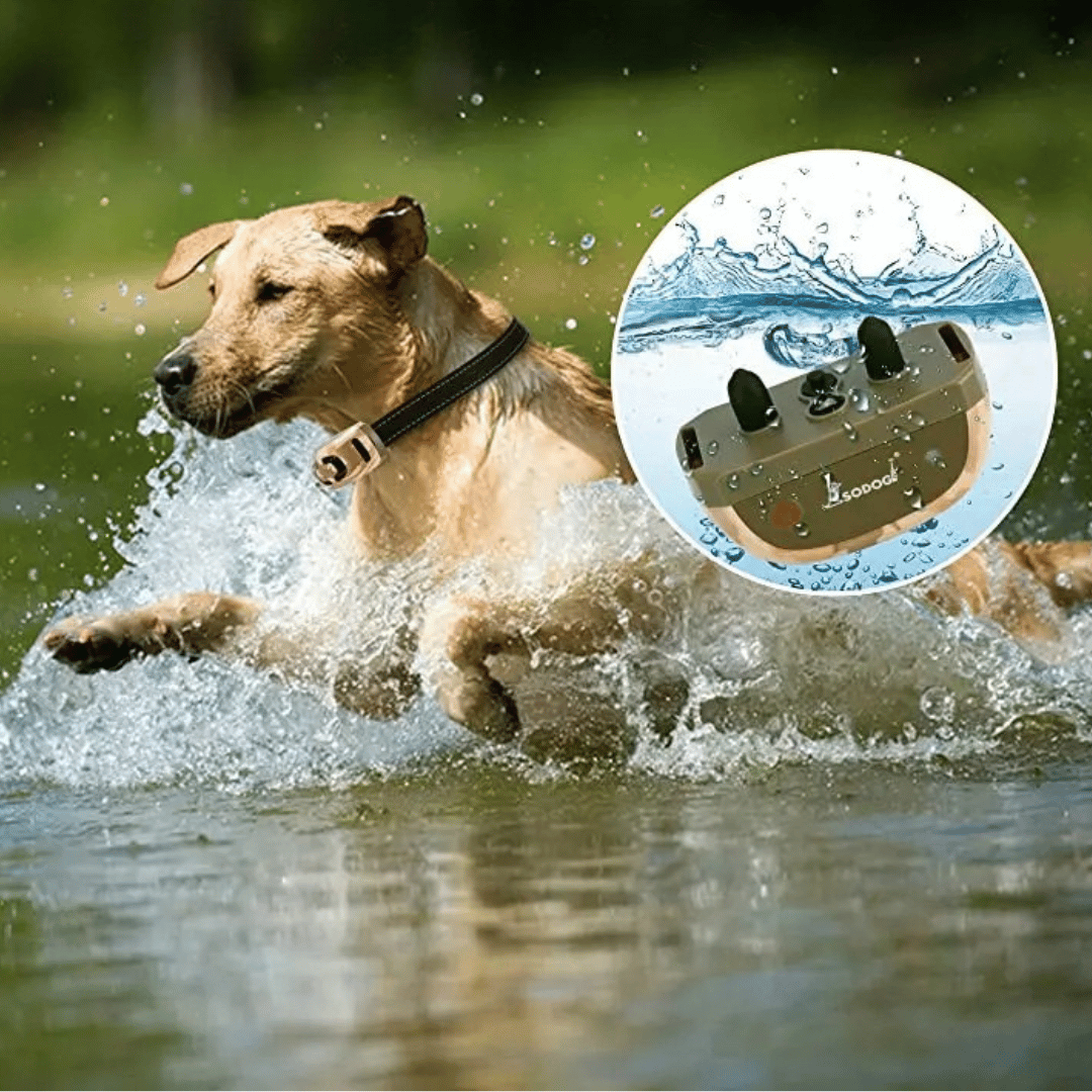 Camouflage 600m Waterproof Dog Training Collar with Remote Control 11