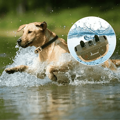 Camouflage 600m Waterproof Dog Training Collar with Remote Control 11