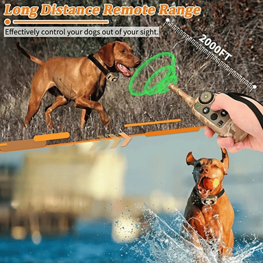 Camouflage 600m Waterproof Dog Training Collar with Remote Control 5
