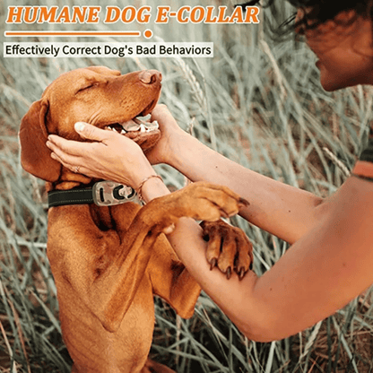 Camouflage 600m Waterproof Dog Training Collar with Remote Control 7
