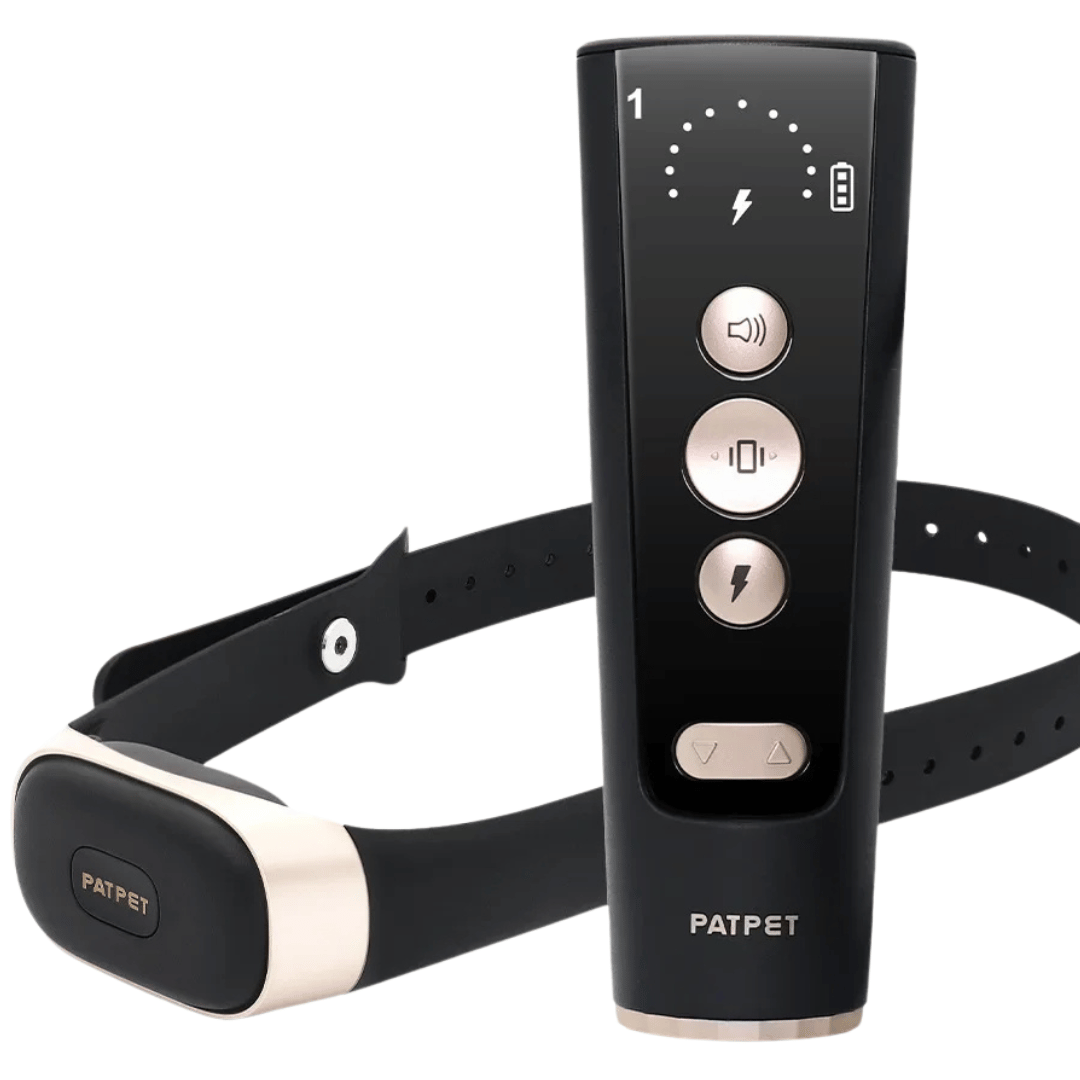 Black & Gold Dog Training E-Collar & Remote Control 1