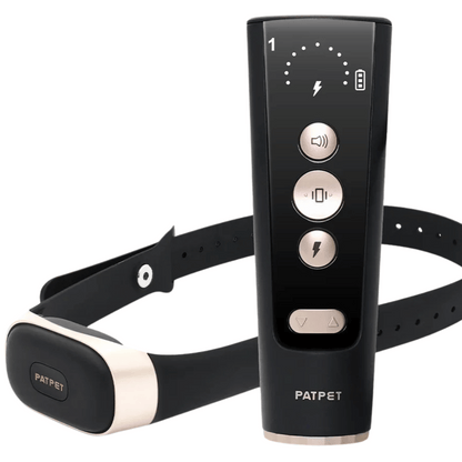 Black & Gold Dog Training E-Collar & Remote Control 1