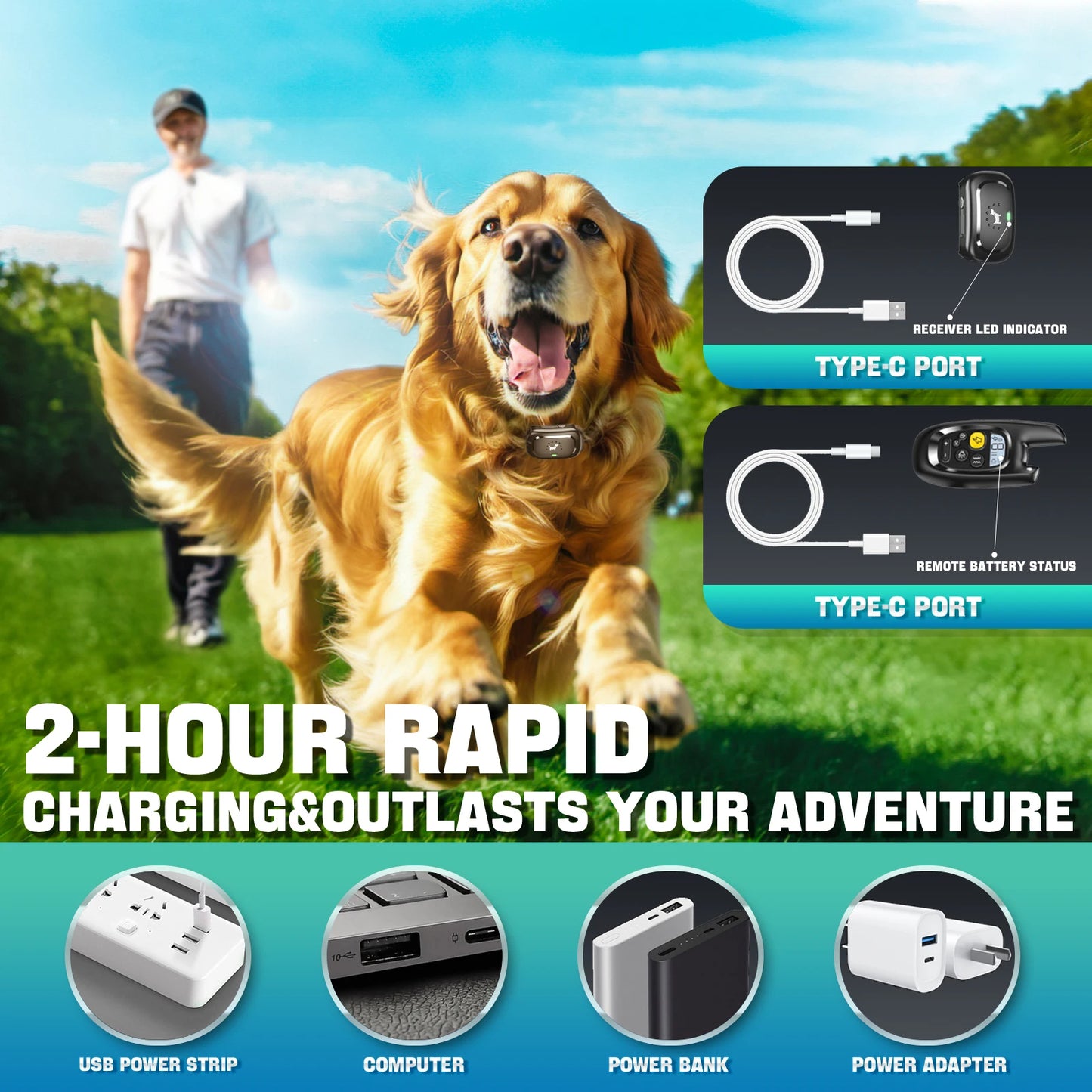 Customisable Dog Shock Collar for Safe-Static Anti-Bark Training 3