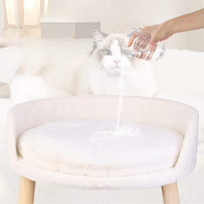 Elevated Round Plush Pet Bed Chair for Cats & Small Dogs 5