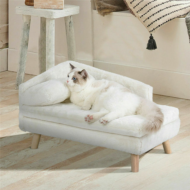 elevated-soft-plush-pet-sofa-for-cats-small-dogs-2