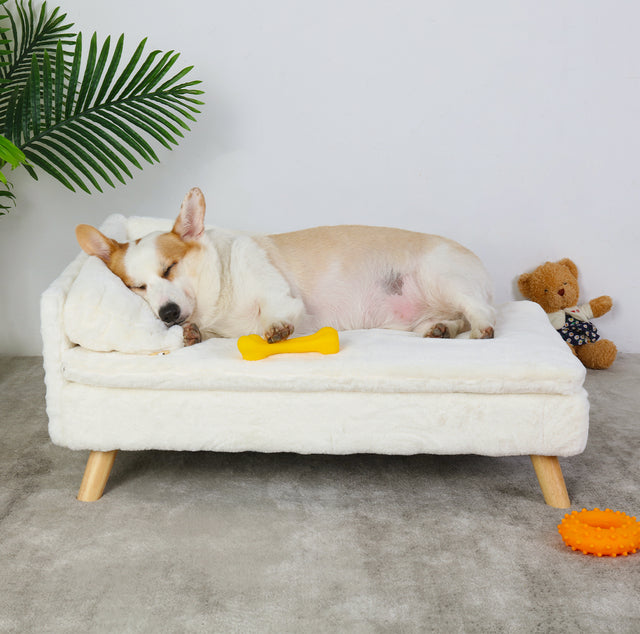 elevated-soft-plush-pet-sofa-for-cats-small-dogs-3