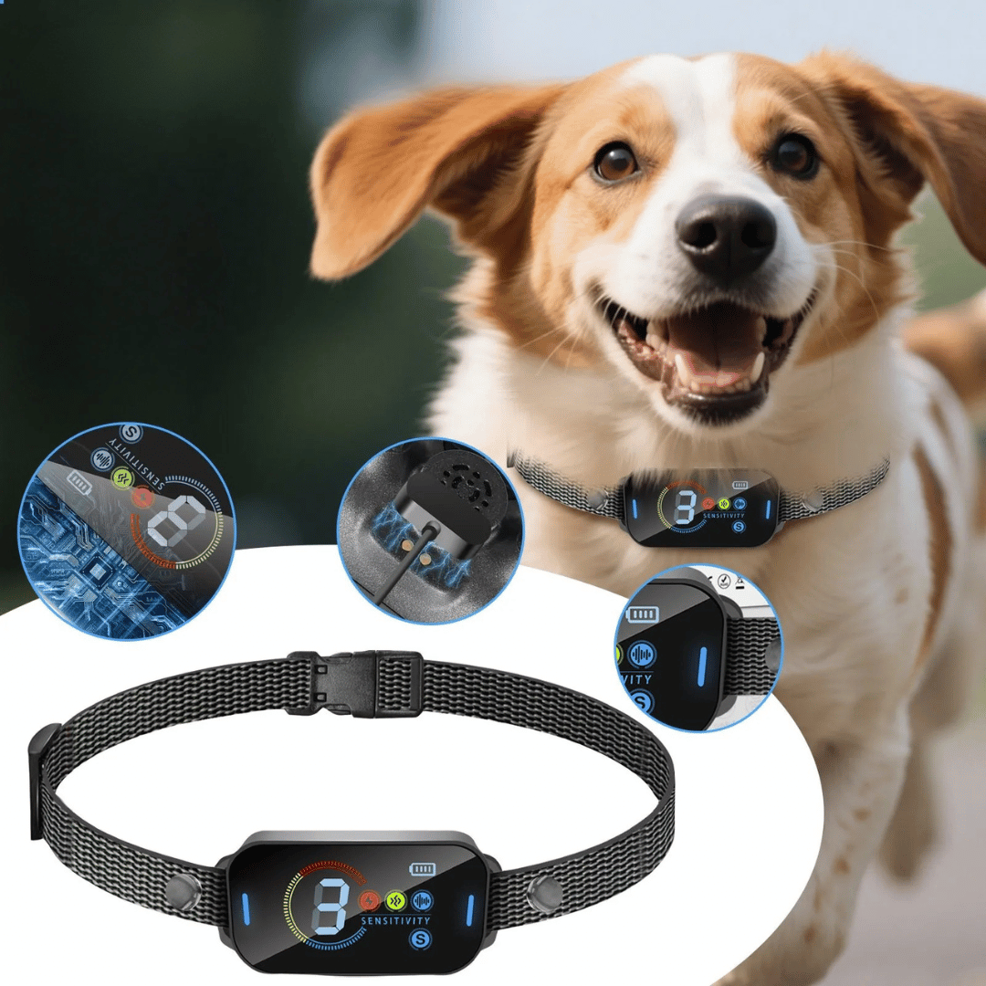 Anti-Bark Dog Training Collar | Fast Charge & Comfy Nylon E-Collar for Dogs 9