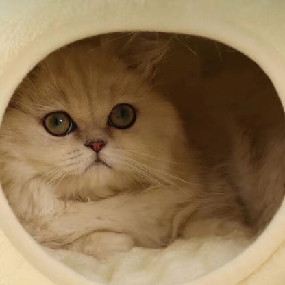 frog-cat-bed-enclosure-3