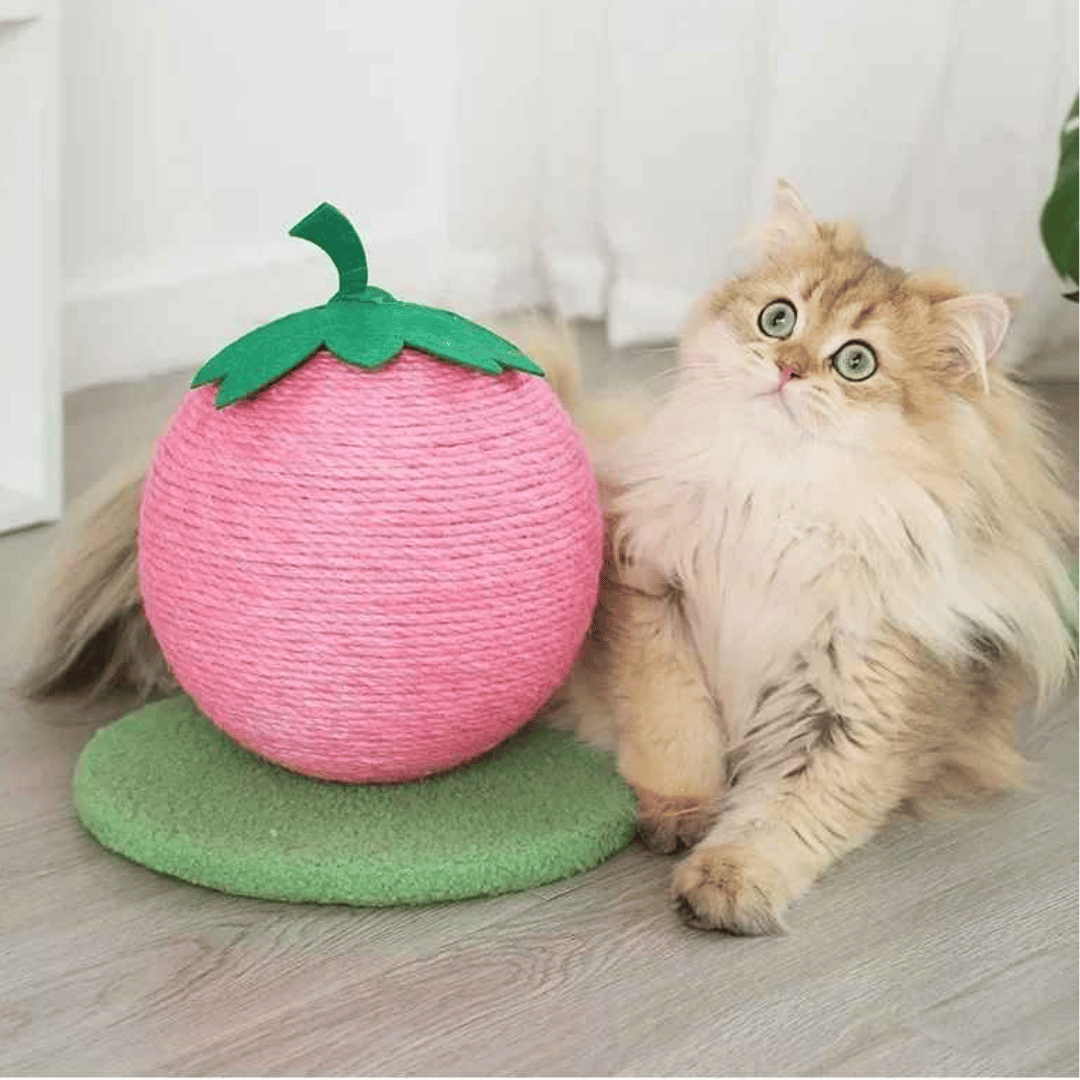 Fruity-Kitty Interactive Cat Scratching Ball 11