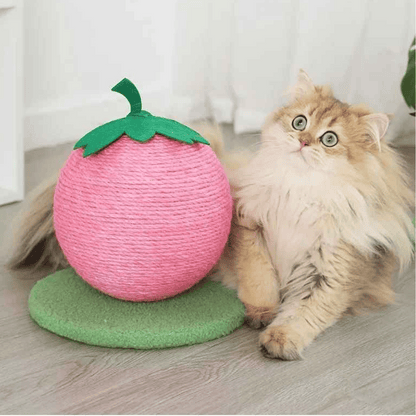 Fruity-Kitty Interactive Cat Scratching Ball 11