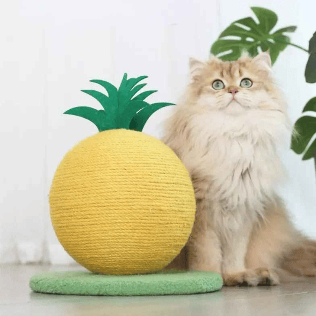 Fruity-Kitty Interactive Cat Scratching Ball 12