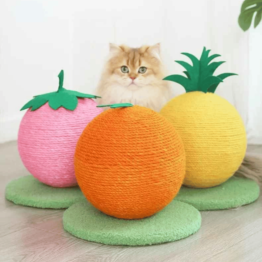 Fruity-Kitty Interactive Cat Scratching Ball 13