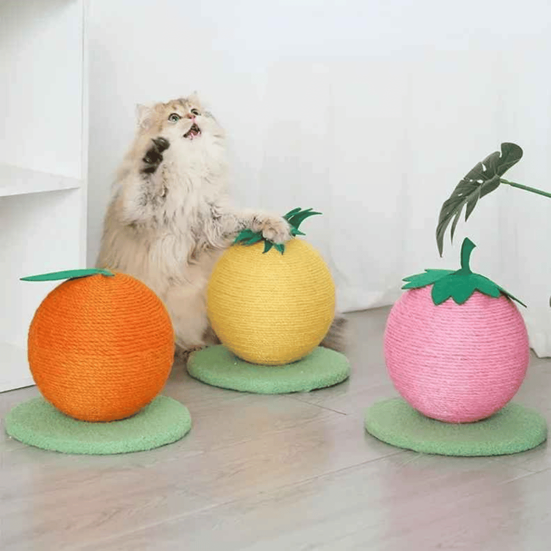 Fruity-Kitty Interactive Cat Scratching Ball 2