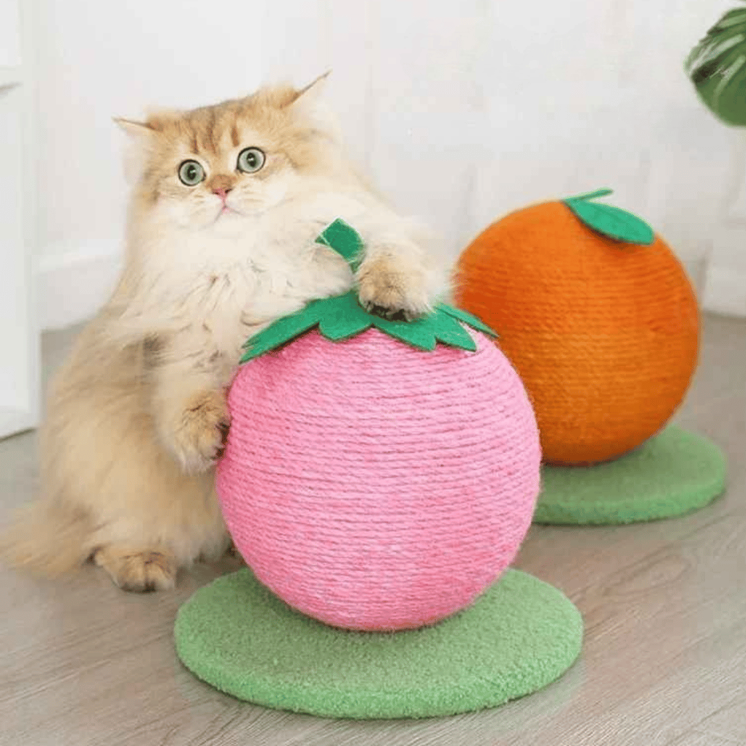 Fruity-Kitty Interactive Cat Scratching Ball 5