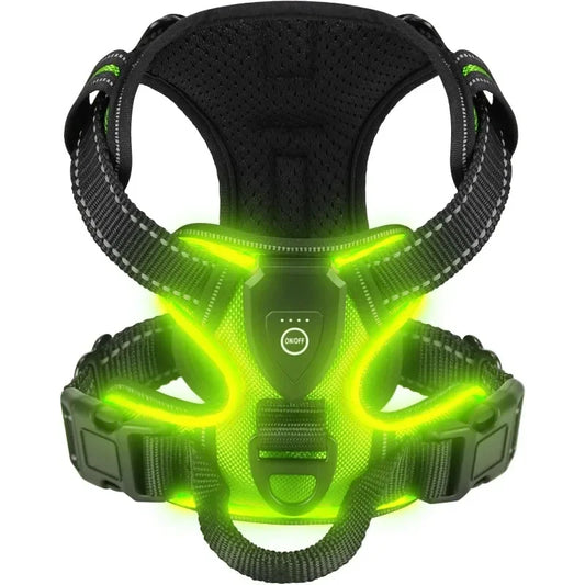 Bright LED Dog Harness for Safe Walking At Night | USB Rechargeable 1