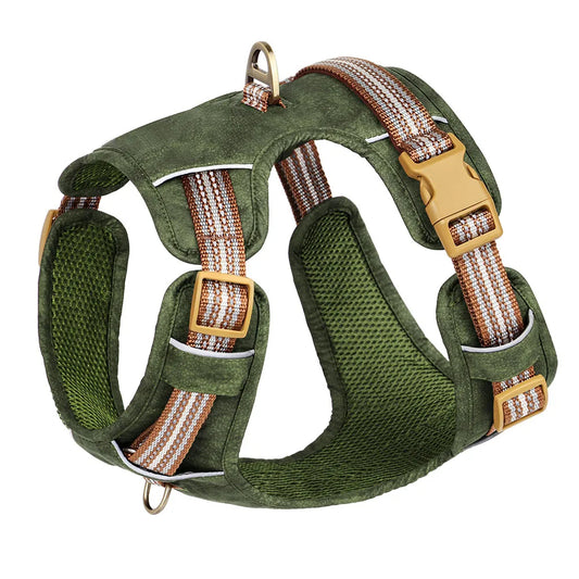 Durable & Supportive Dog Harness with Reflective Straps & Close-Control Handle 1