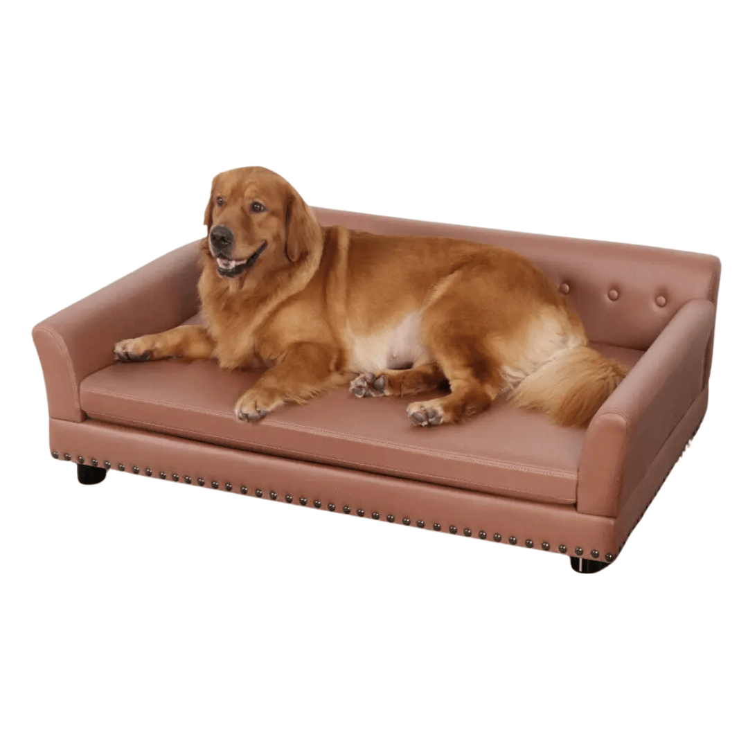 Large Elevated Faux Leather Dog Sofa Bed for XL Dogs 2