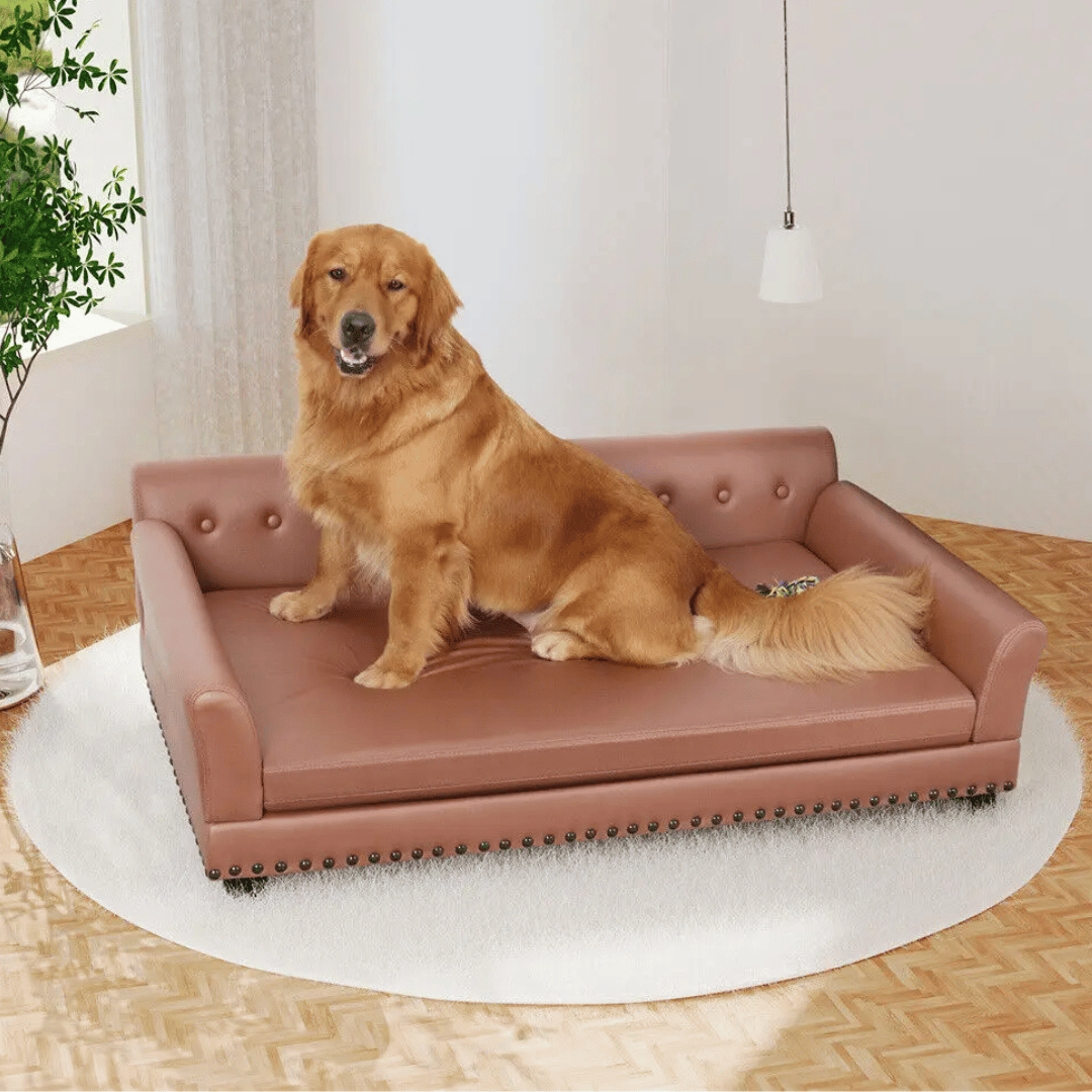 Large Elevated Faux Leather Dog Sofa Bed for XL Dogs 3