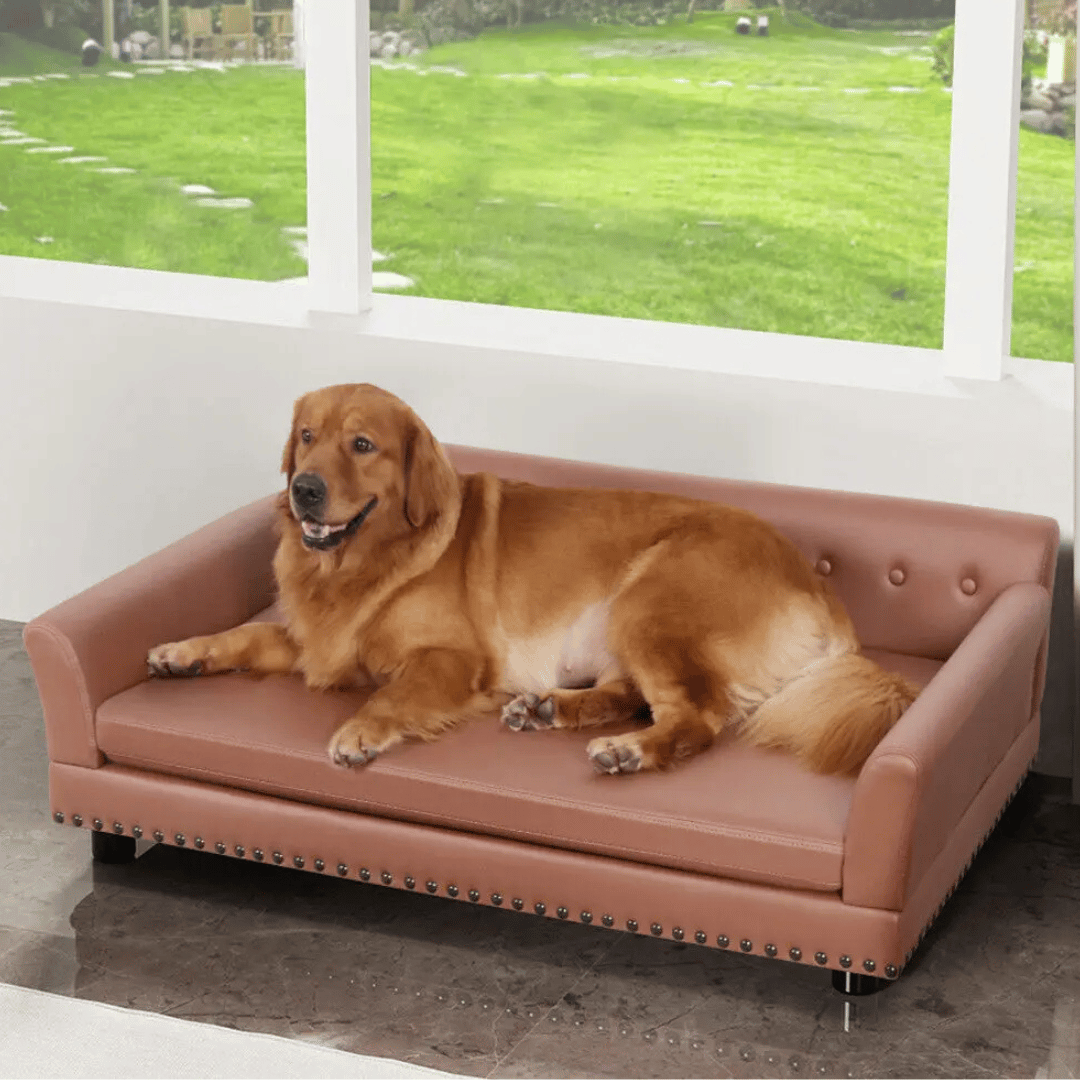Large Elevated Faux Leather Dog Sofa Bed for XL Dogs 5