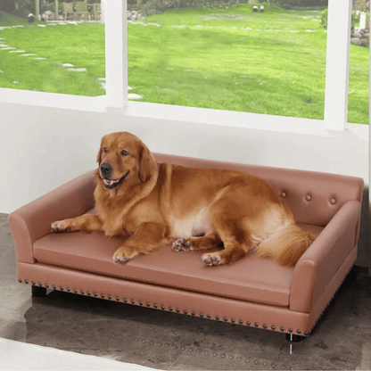 Large Elevated Faux Leather Dog Sofa Bed for XL Dogs 5