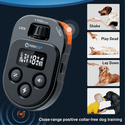 Long Distance 1250m Dog Training Collar with Remote Control 6
