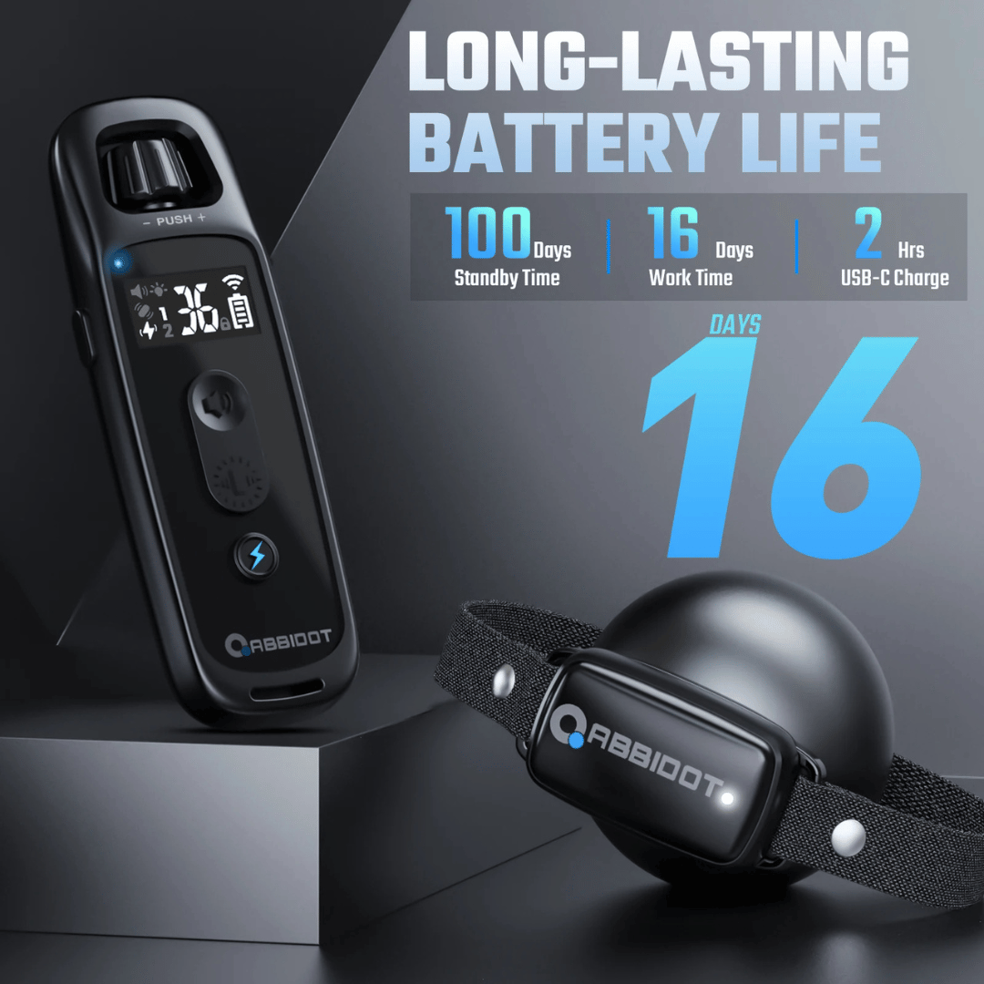 Long Range 1000m Dog Training E-Collar for Large Dogs with Remote Control 10