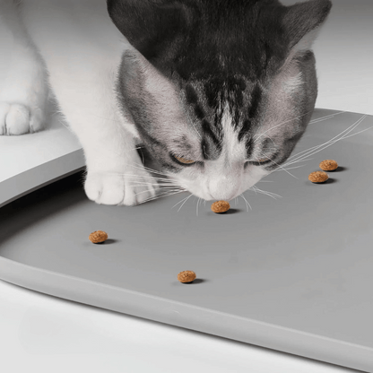 No-Spill Silicone Cat Food & Dog Bowl Mat with Raised Edges 2
