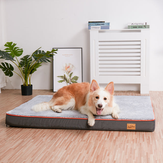 Orthopedic Dog Bed for Large & XL Dogs with Washable Cover 1