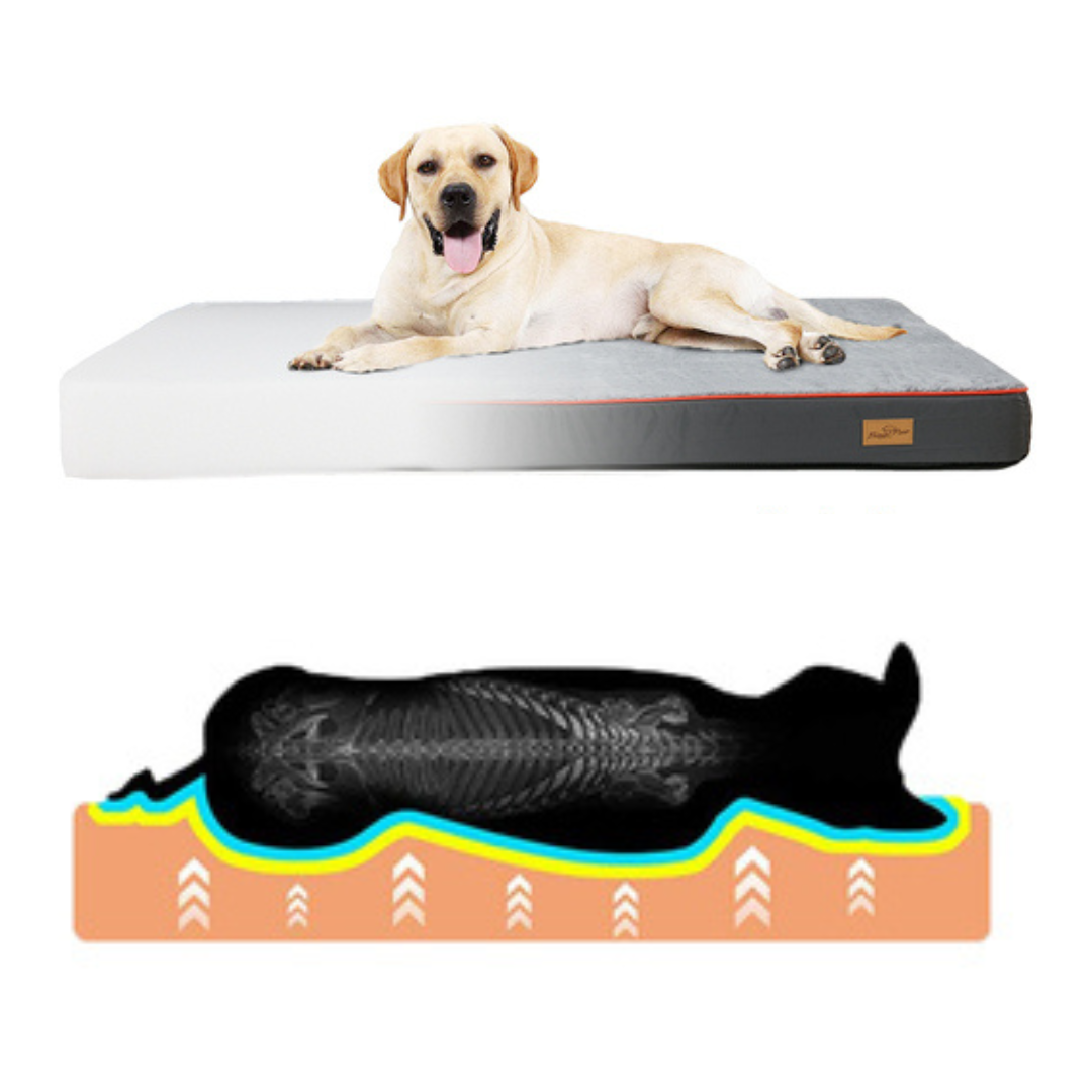 Orthopedic Dog Bed for Large & XL Dogs with Washable Cover 3