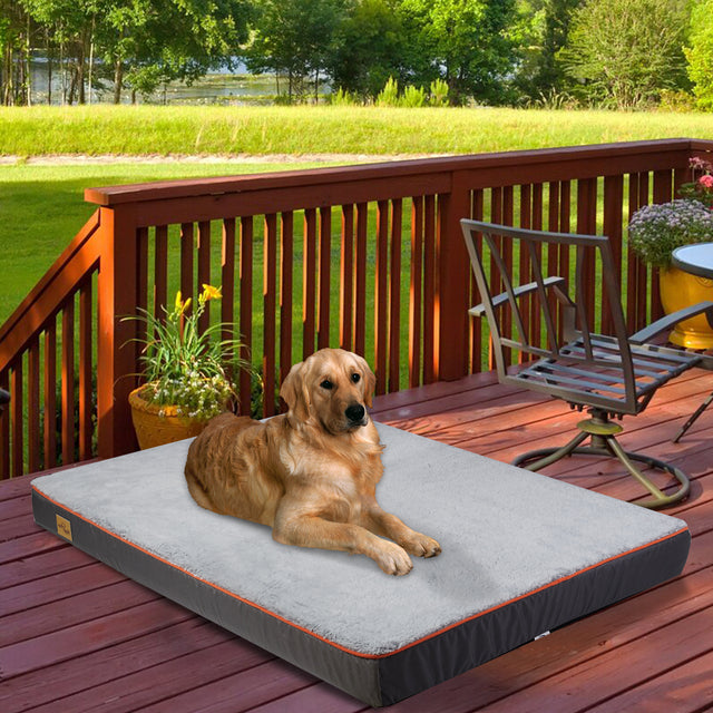 Orthopedic Dog Bed for Large & XL Dogs with Washable Cover 5
