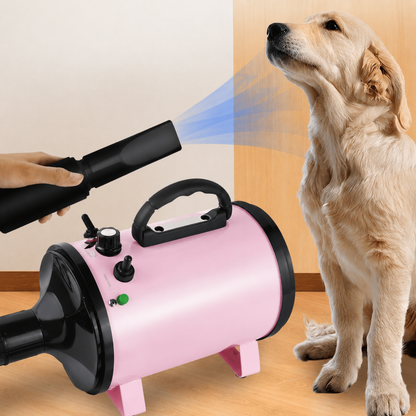 Professional 2800W Dog Grooming Dryer with 2.3M Hose & 3 Nozzles | Dual Speed & Temperature Low Noise Pet Hair Dryer