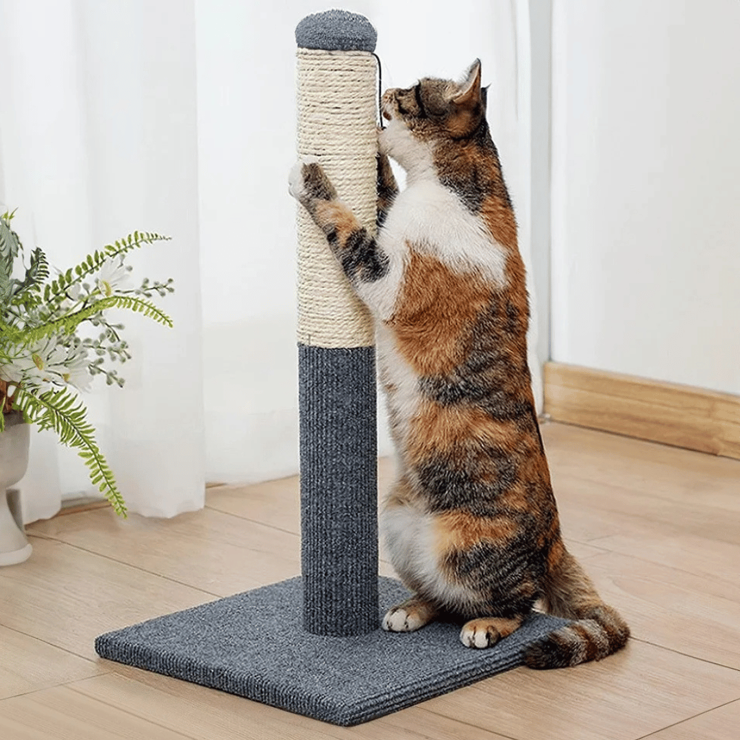 Playful Cat Scratching Post with Hanging Ball 3