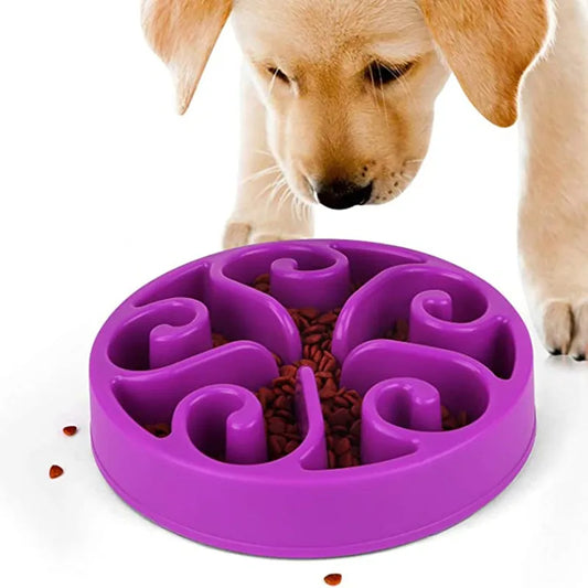 Slow Feeder Dog Bowl with Anti-Flip Base | Dog Lick Bowl for Heathy & Fun Eating
