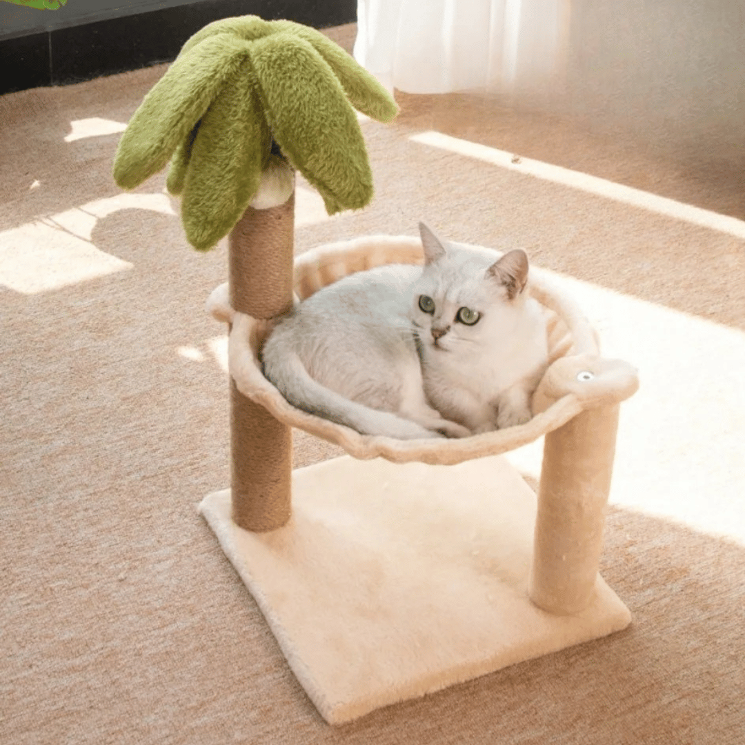 Purr-Palm Tree Cat Scratching Post & Nest 2