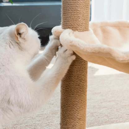 Purr-Palm Tree Cat Scratching Post & Nest 4