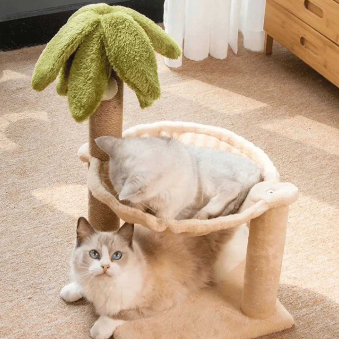 Purr-Palm Tree Cat Scratching Post & Nest 7