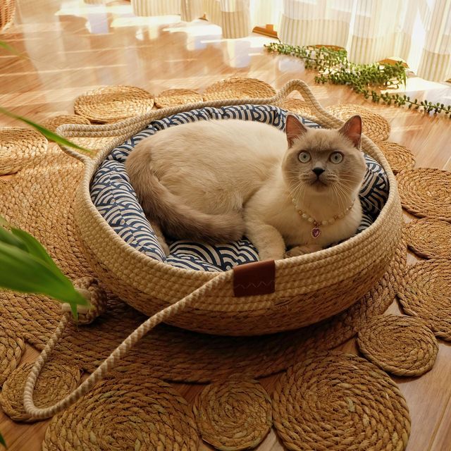 rattan-woven-cat-bed-basket-and-cushion-1