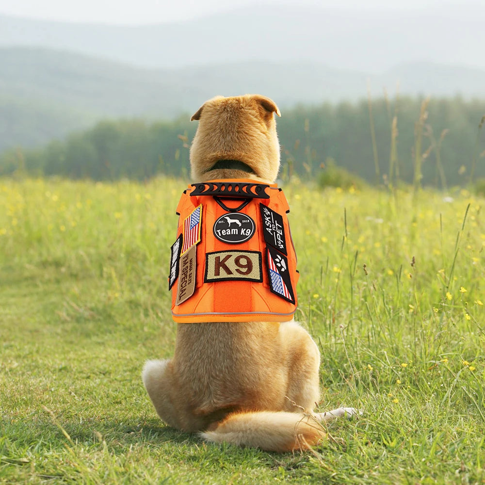 Reflective Orange Dog Harness with Collar, Leash & Pouch Set Options | Tactical Dog Training Vest 18