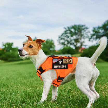 Reflective Orange Dog Harness with Collar, Leash & Pouch Set Options | Tactical Dog Training Vest 19