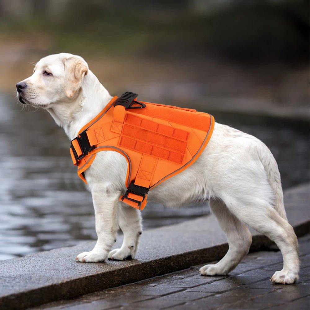 Reflective Orange Dog Harness with Collar, Leash & Pouch Set Options | Tactical Dog Training Vest 2