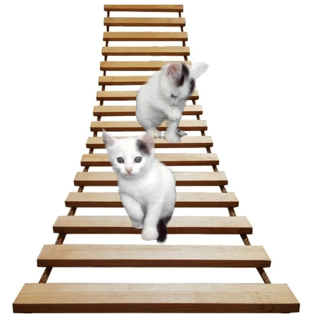 Sisal & Wood Cat Ladder | Wall-Mounted Cat Bridge & Climber 1